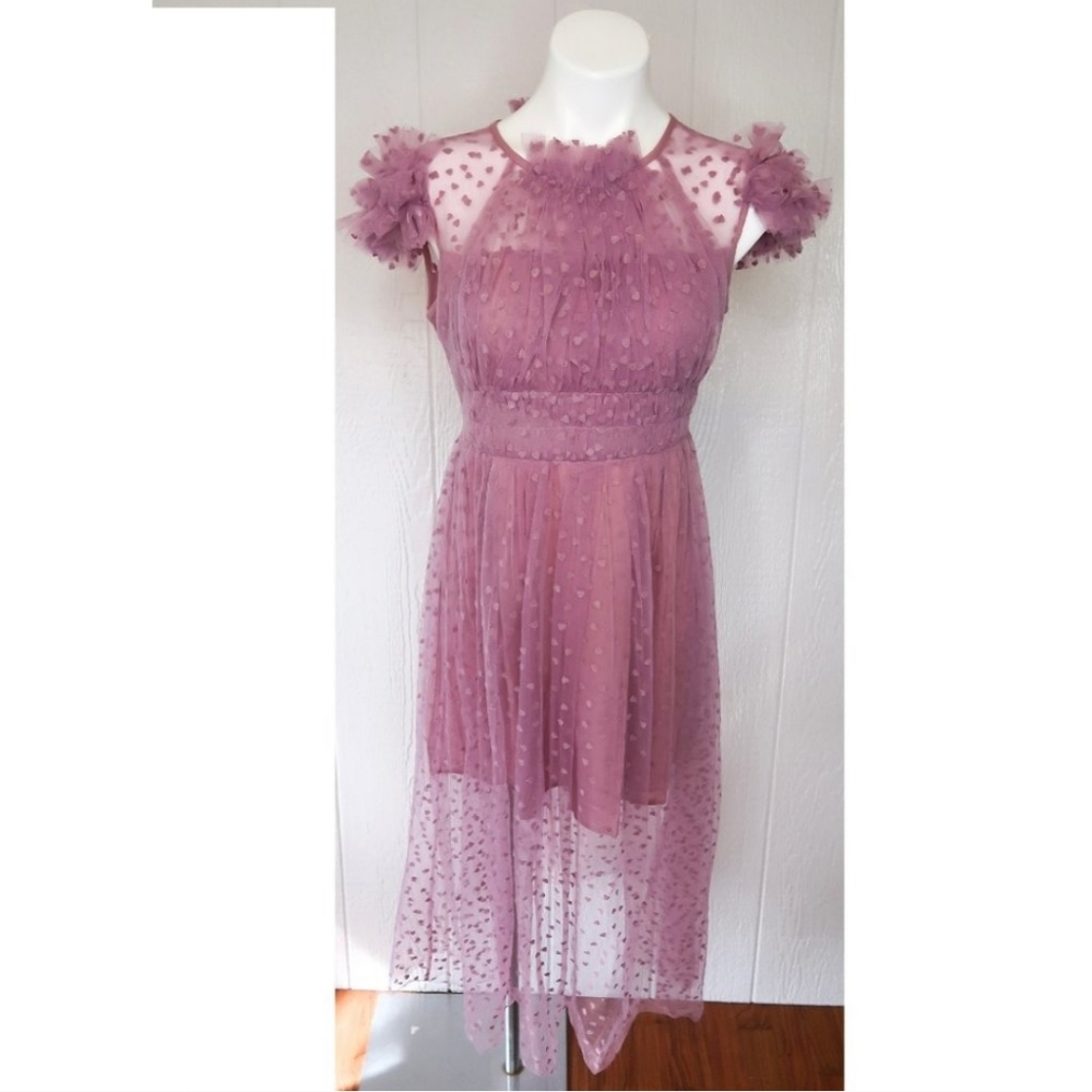 Heart Polka Dot Sheer Tulle Ruffle Midi Dress